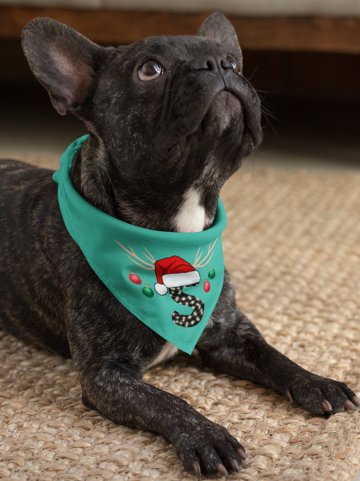 Personalized Christmas Dog Bandana - Santa Letter - Three2Tango Tee's