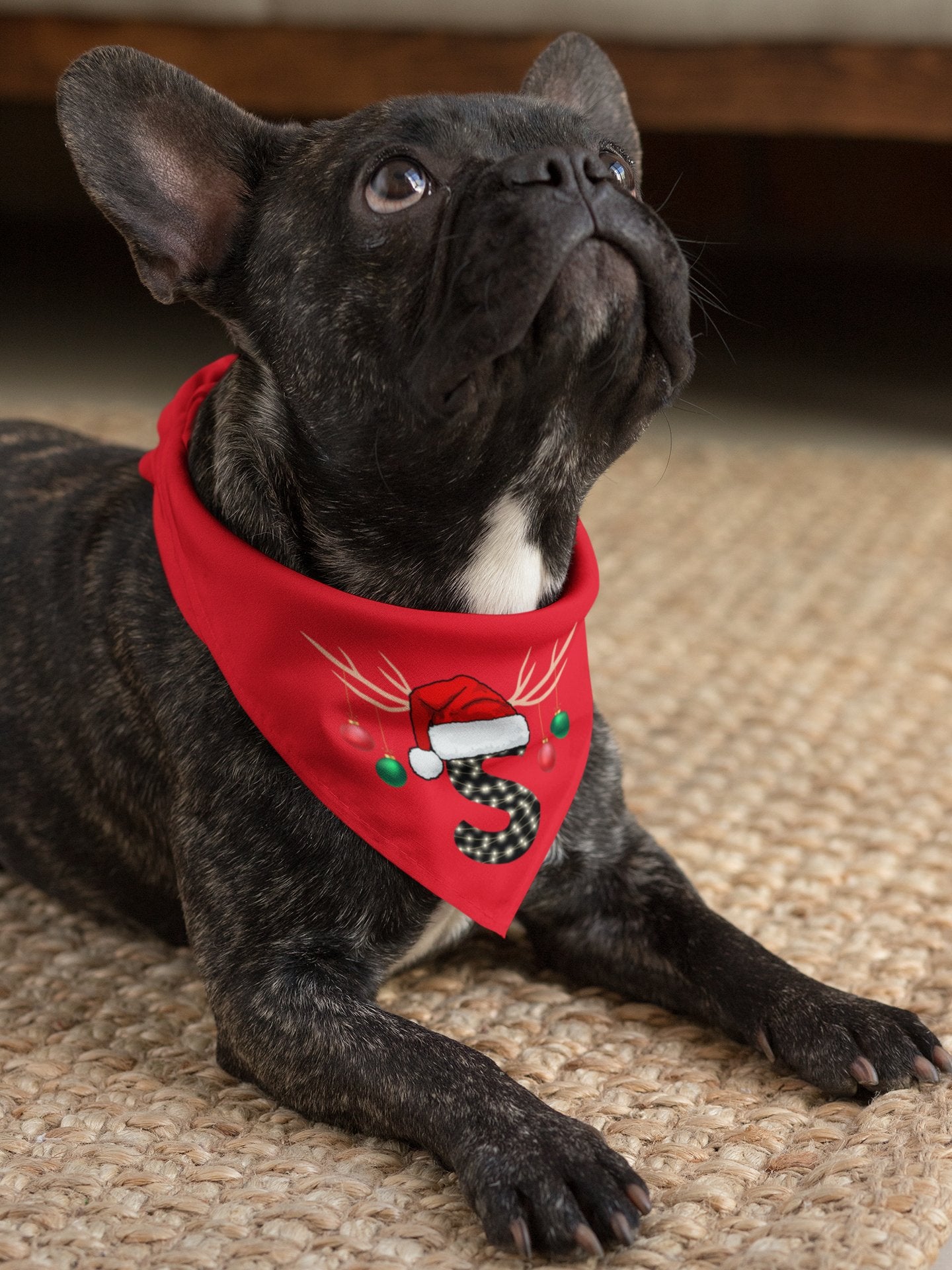 Personalized Christmas Dog Bandana - Santa Letter - Three2Tango Tee's